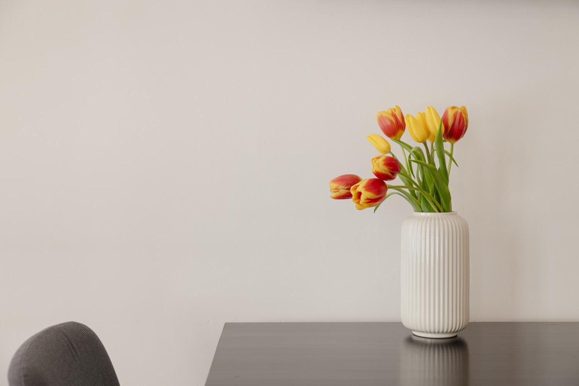 Casa Joy Boavista Apartment 波尔图 外观 照片